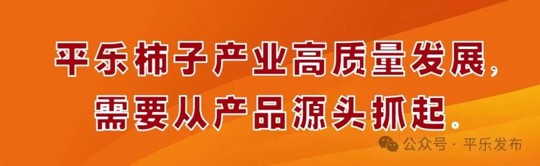 篮球训练营头像_1